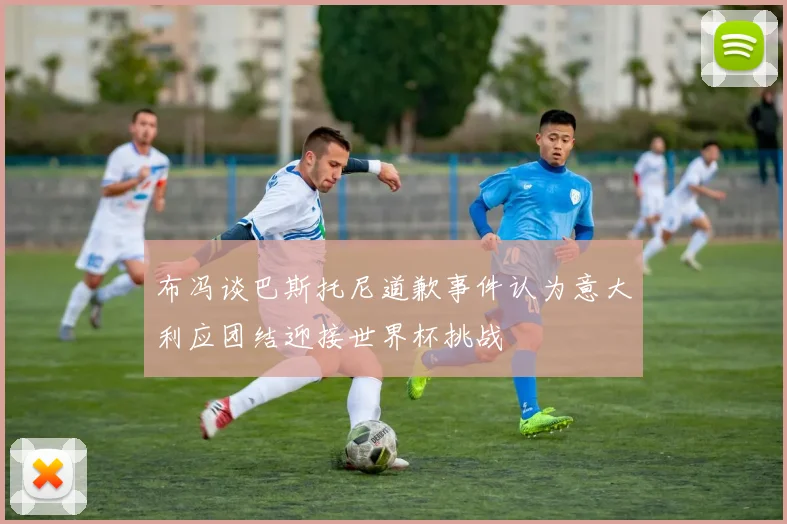 布冯谈巴斯托尼道歉事件认为意大利应团结迎接世界杯挑战