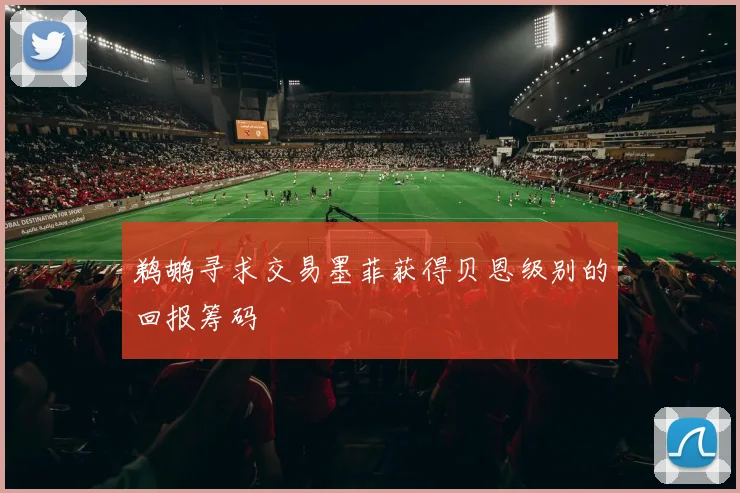 鹈鹕寻求交易墨菲获得贝恩级别的回报筹码