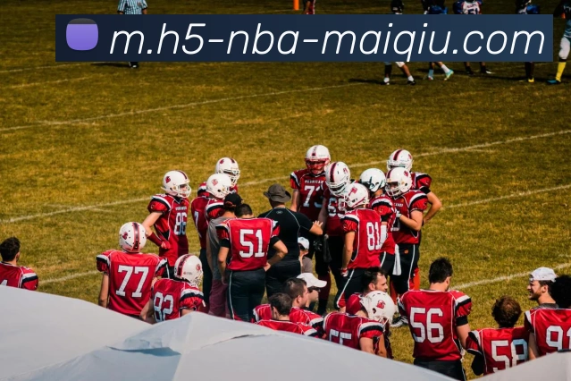 App Interface Preview